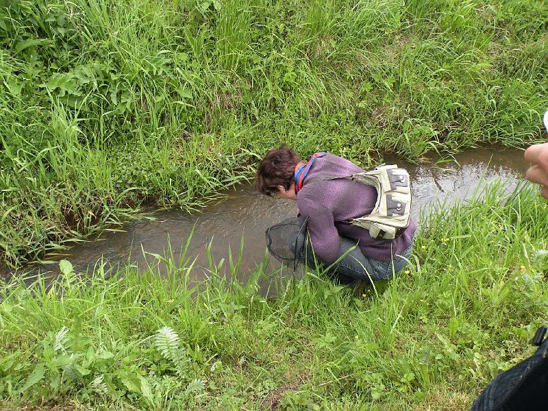DSCN1462.JPG