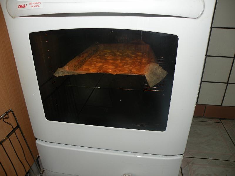 DSCN0733.JPG