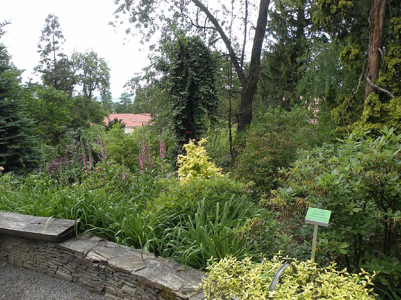 DSCN1501.JPG