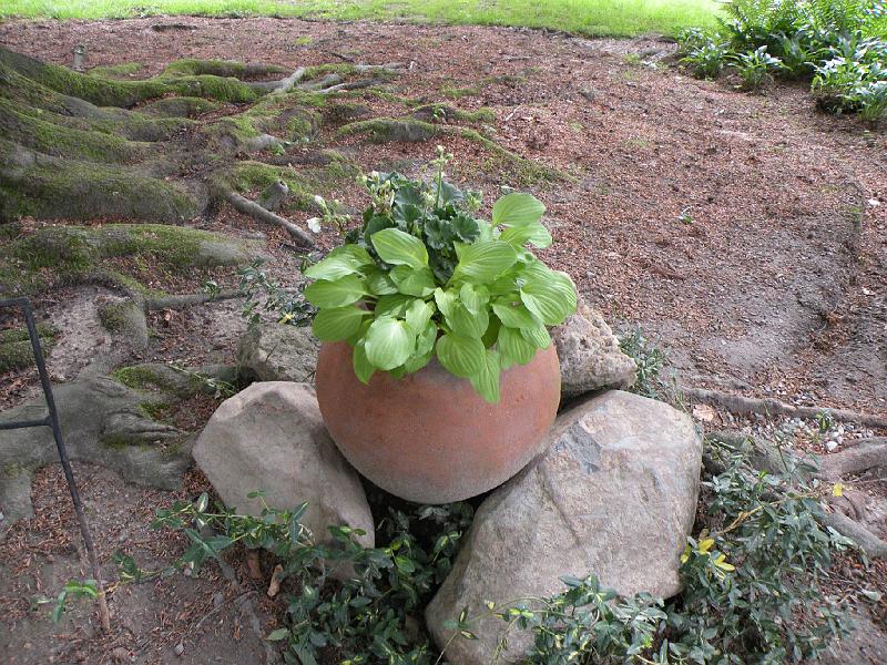 DSCN1505.JPG