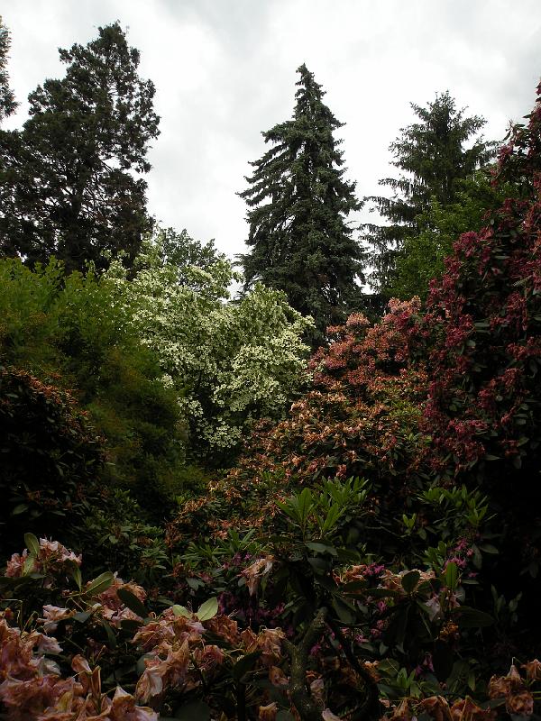 DSCN1510.JPG