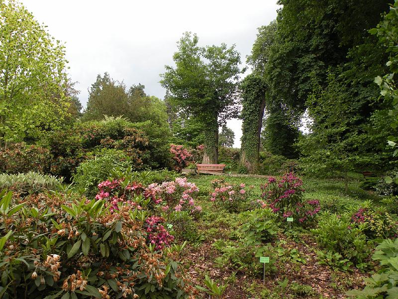 DSCN1511.JPG