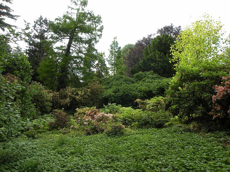 DSCN1515.JPG