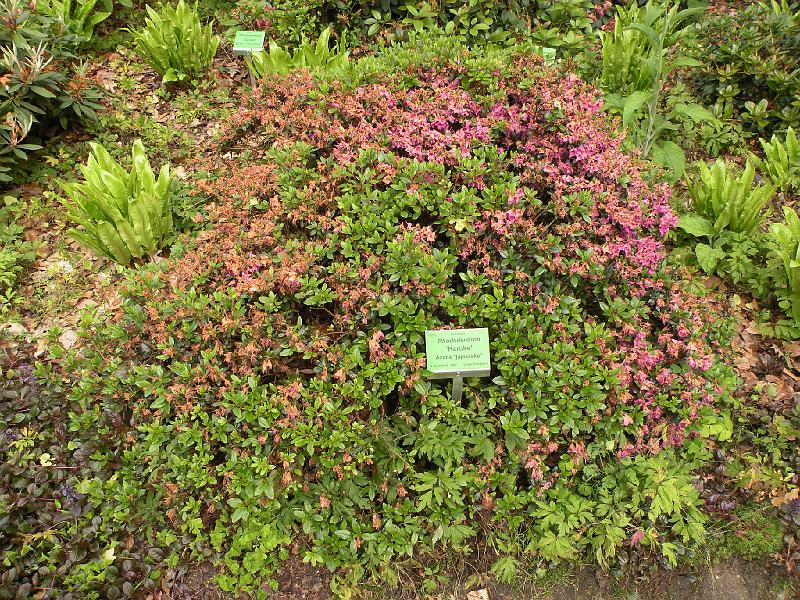 DSCN1516.JPG