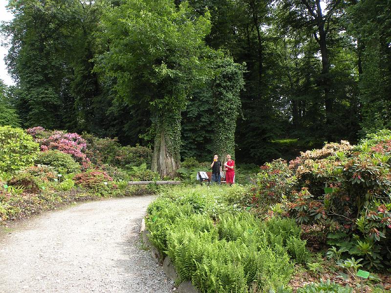 DSCN1518.JPG