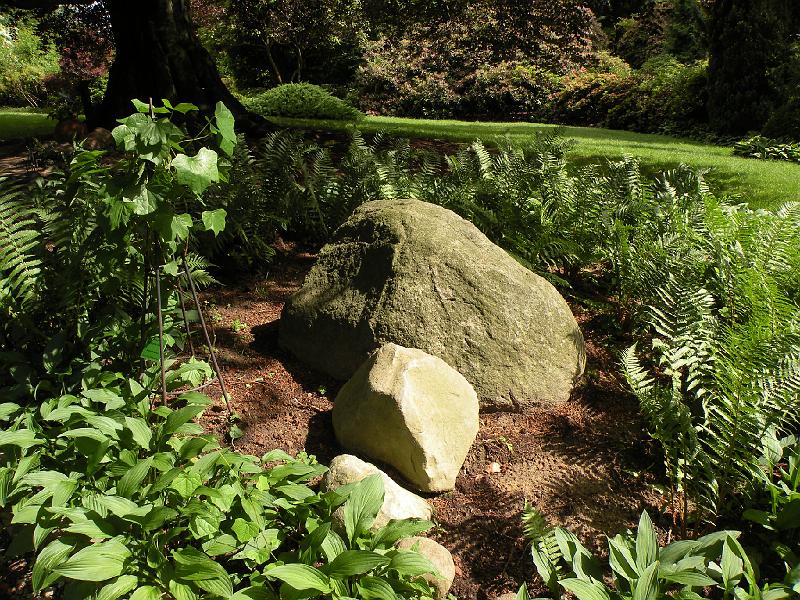 DSCN1520.JPG