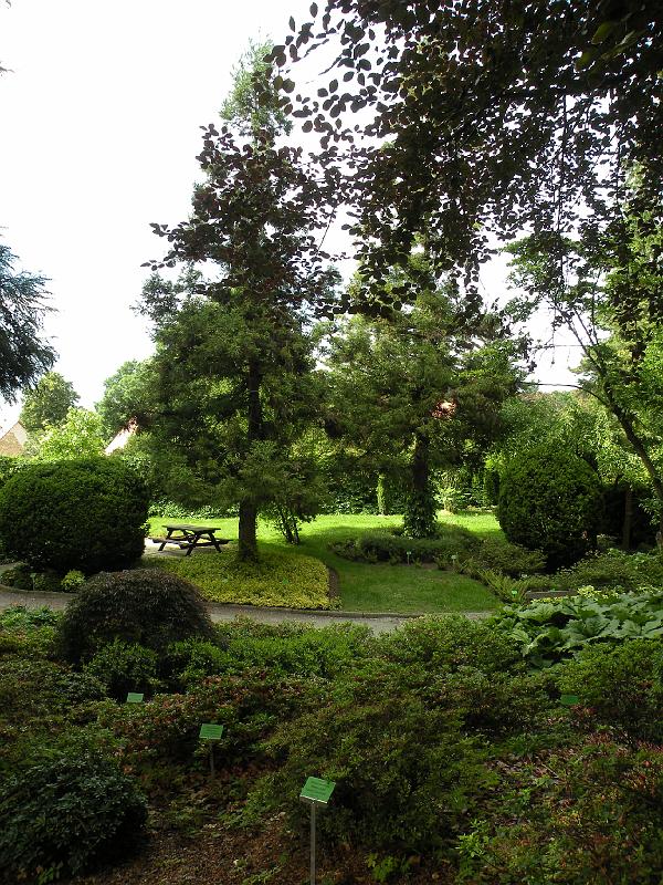 DSCN1521.JPG