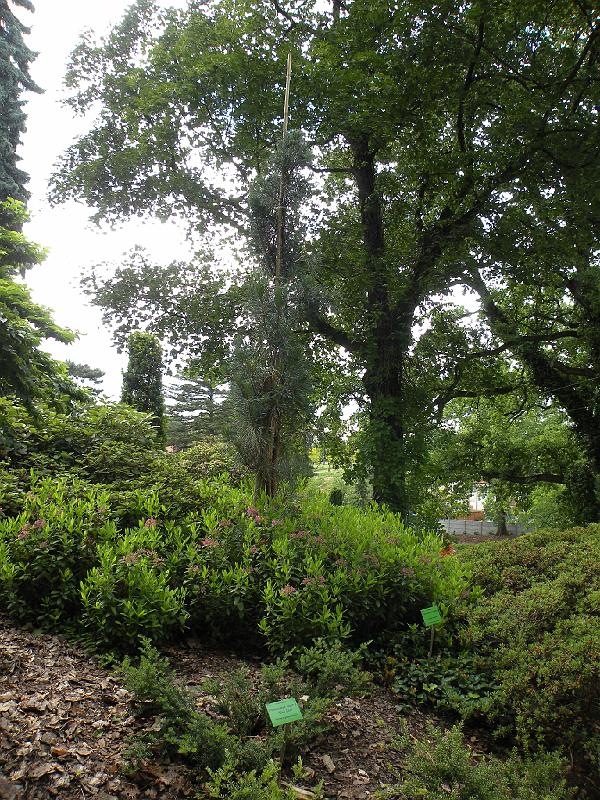 DSCN1532.JPG