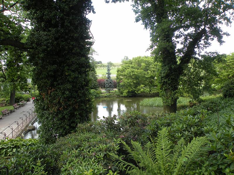 DSCN1537.JPG