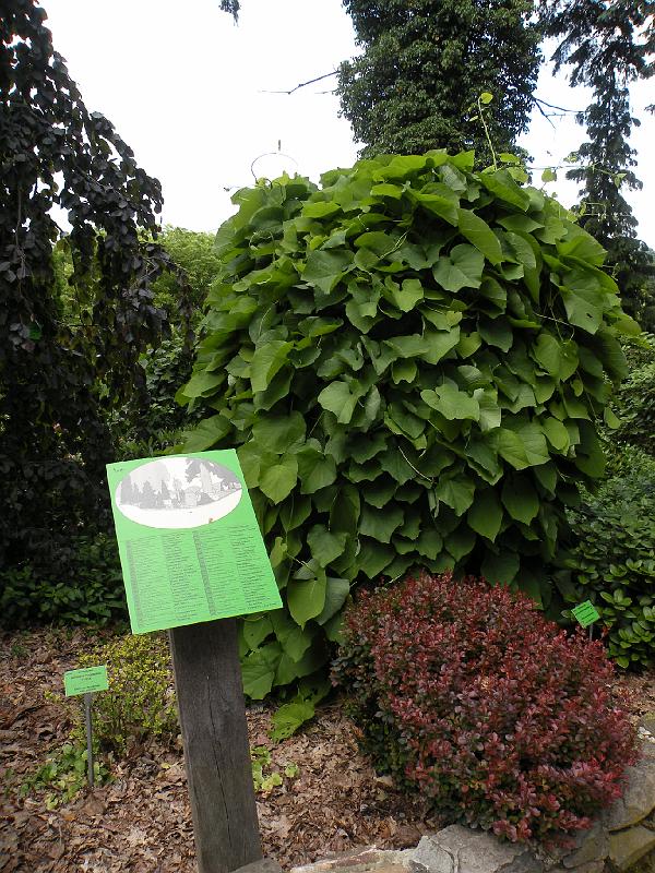 DSCN1538.JPG