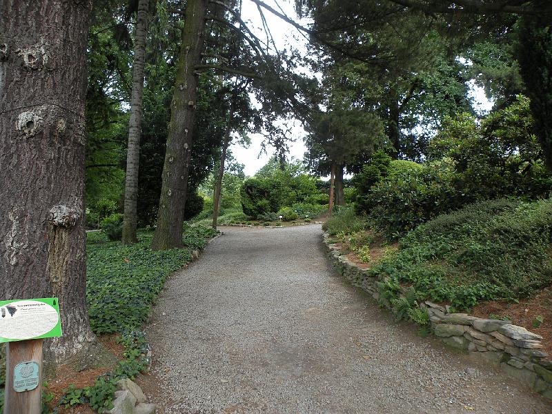 DSCN1539.JPG