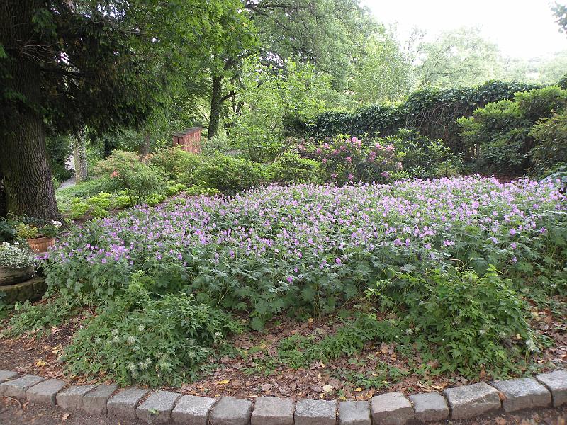 DSCN1541.JPG