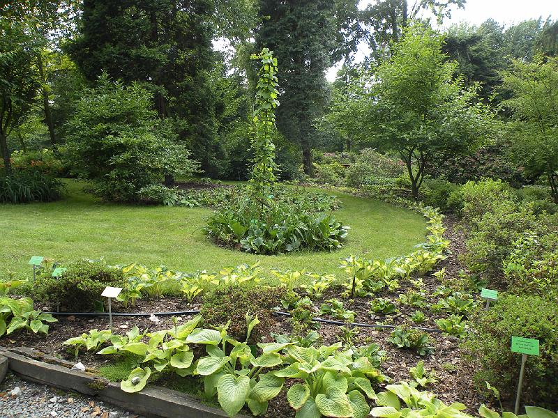 DSCN1544.JPG