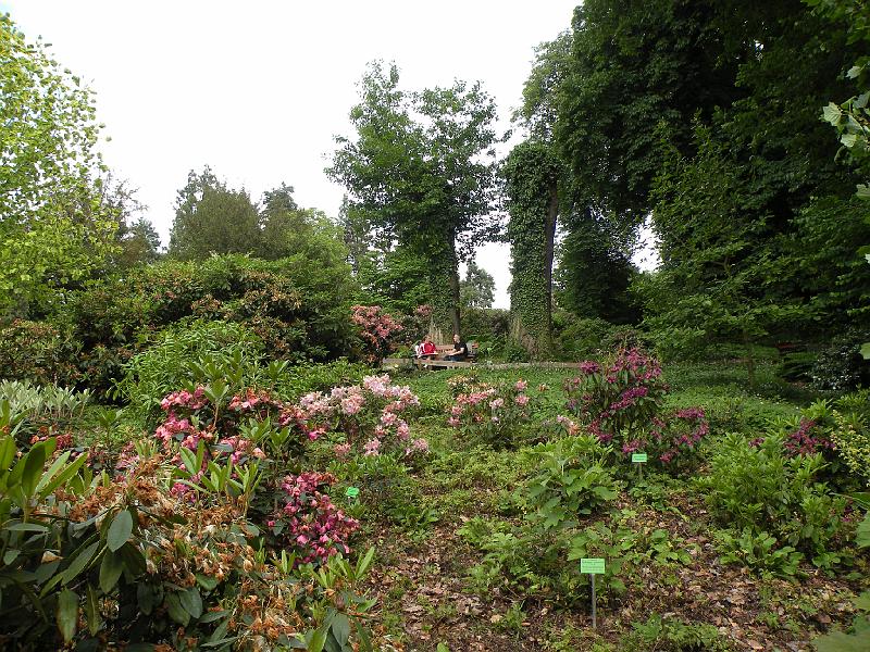 DSCN1551.JPG
