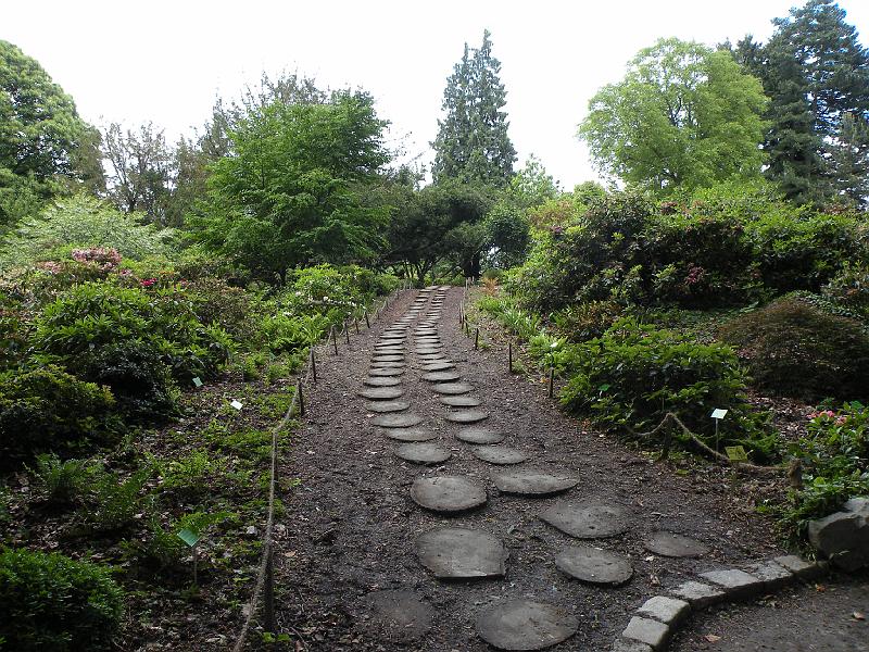 DSCN1557.JPG