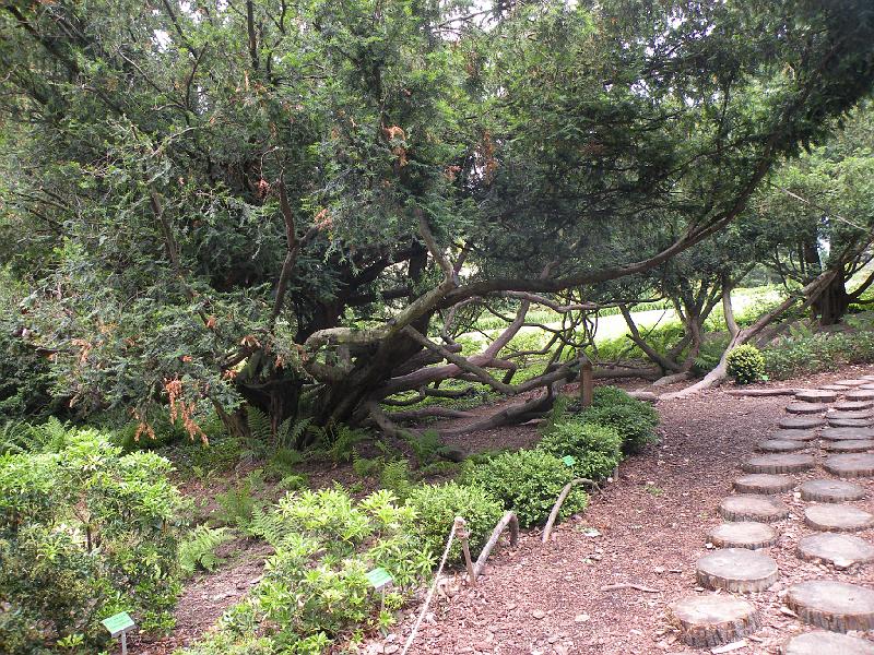 DSCN1560.JPG