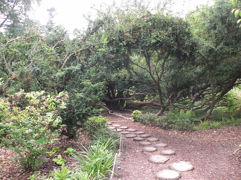 DSCN1562.JPG