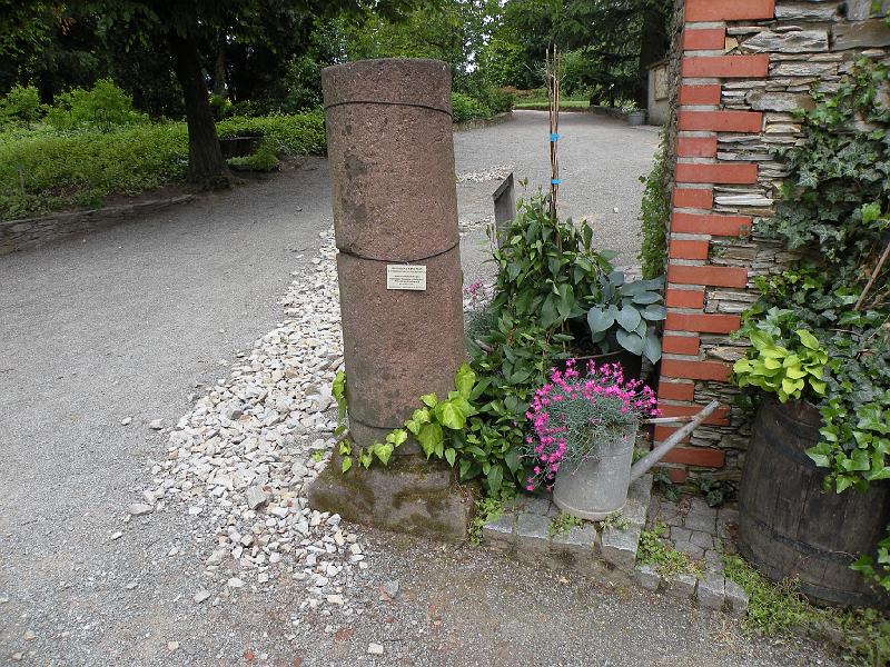DSCN1566.JPG
