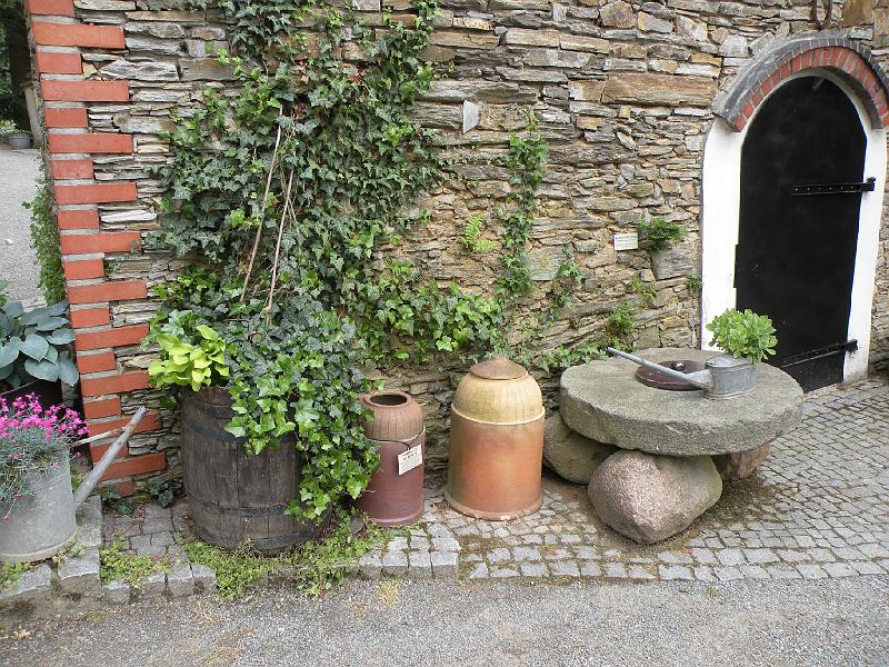DSCN1567.JPG
