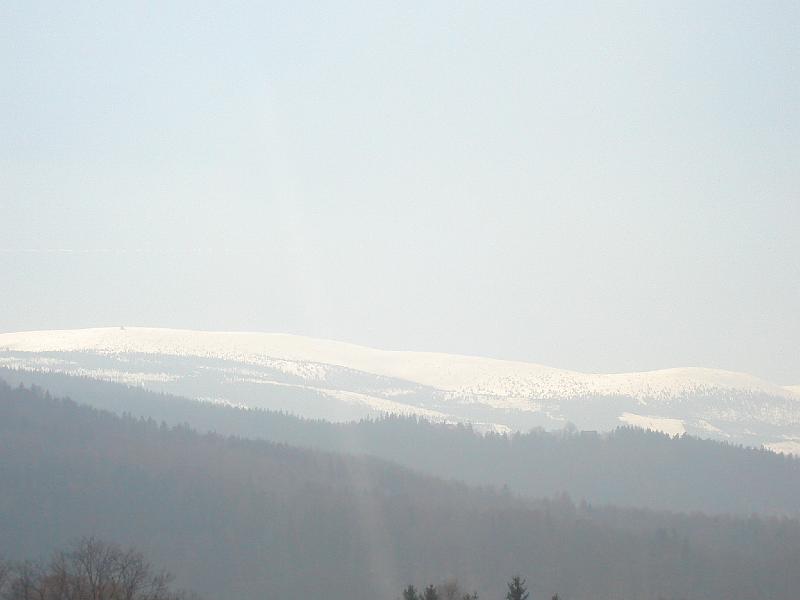 DSC03713.JPG