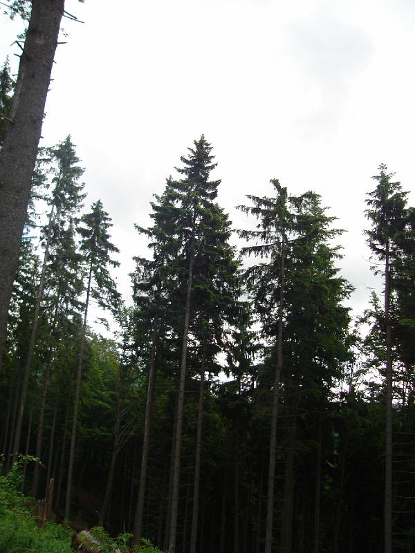 DSC03825.JPG