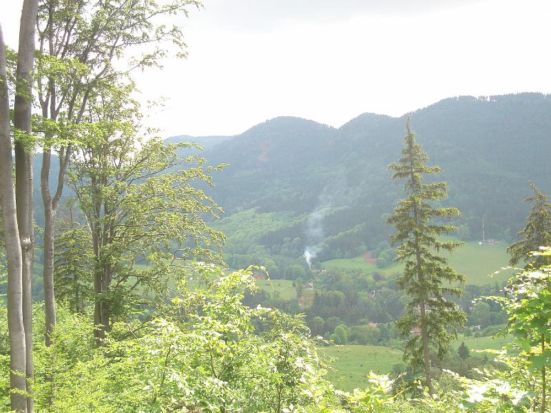 DSC03828.JPG