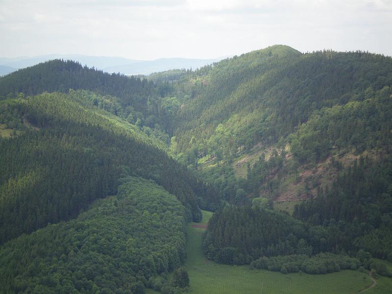 P6020153.JPG