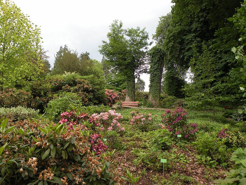 DSCN1511.JPG