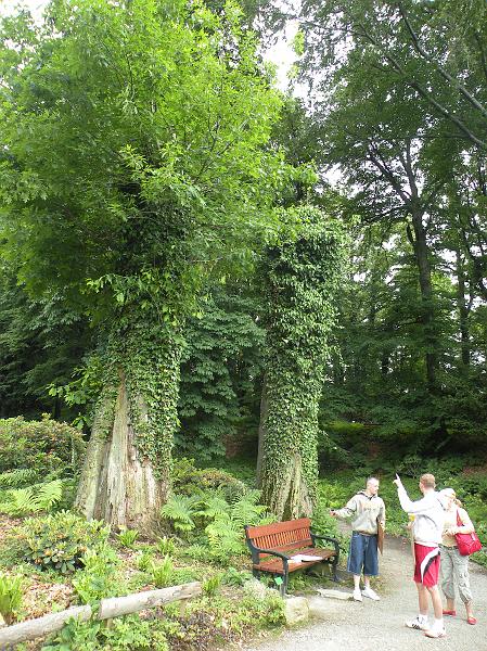 DSCN1514.JPG