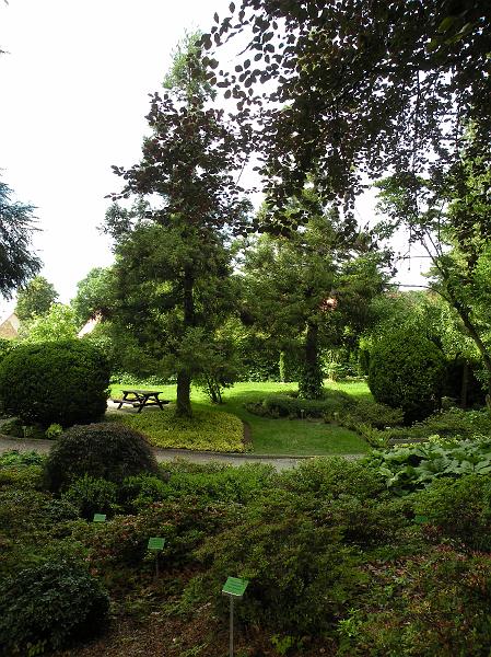 DSCN1521.JPG