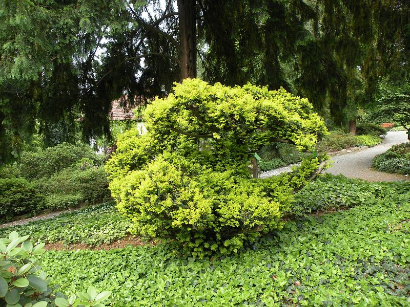 DSCN1530.JPG