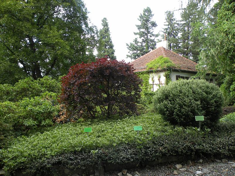 DSCN1531.JPG
