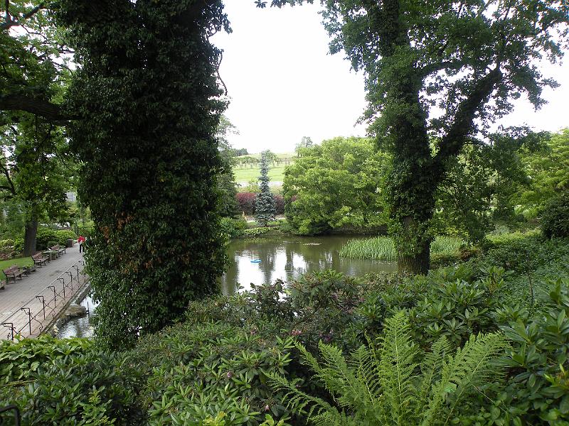 DSCN1537.JPG