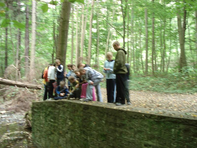 DSC00045.JPG