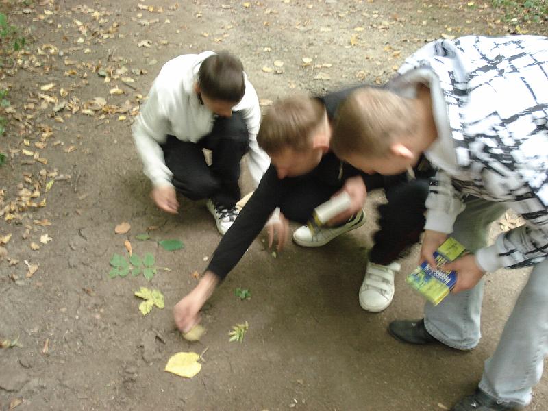 DSC00072.JPG