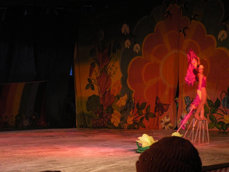 DSCN2973.JPG