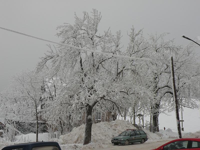 DSCN3765.JPG