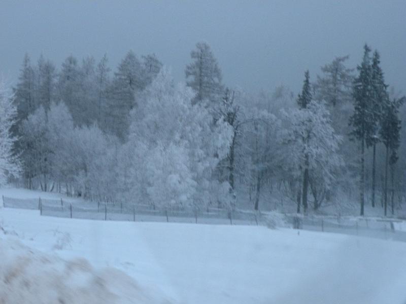 DSCN3938.JPG