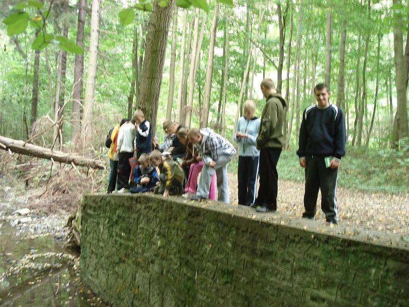 DSC00046.JPG