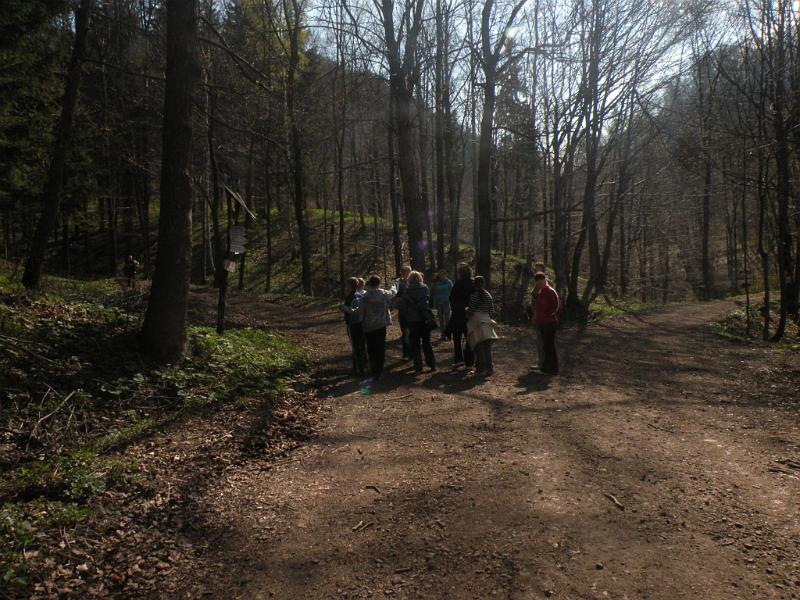 DSCN4684.JPG