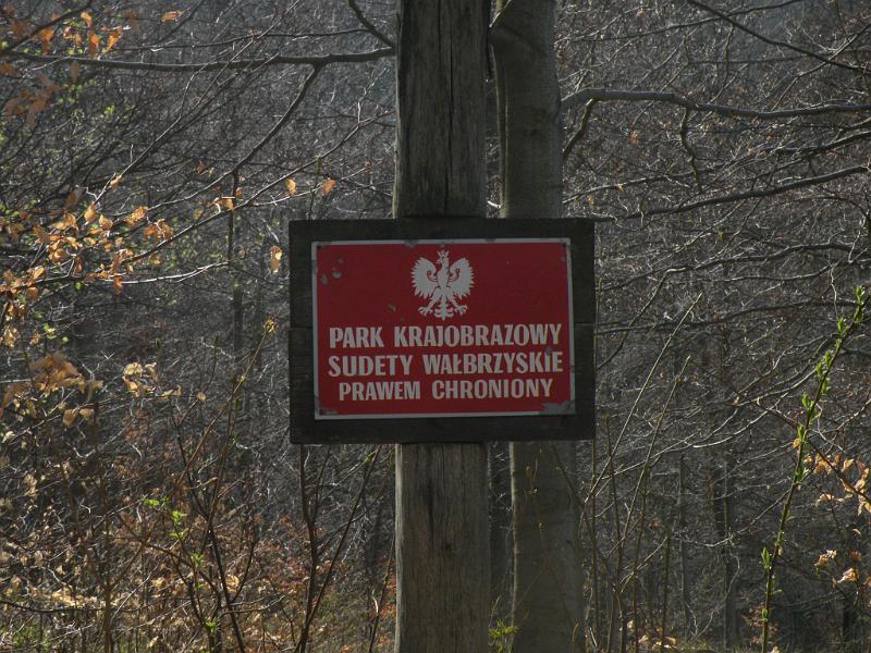 DSCN4696.JPG
