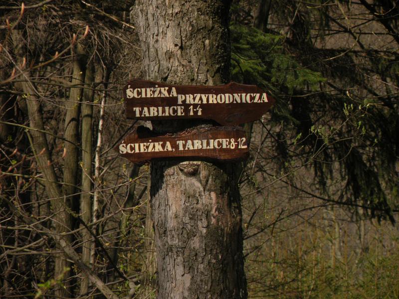 DSCN4700.JPG