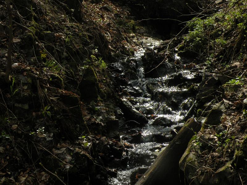 DSCN4701.JPG