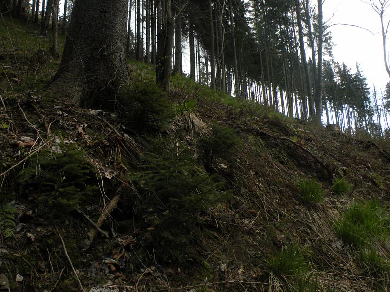 DSCN4702.JPG