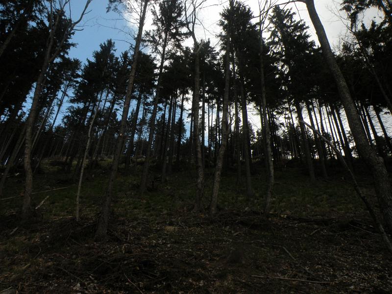 DSCN4703.JPG